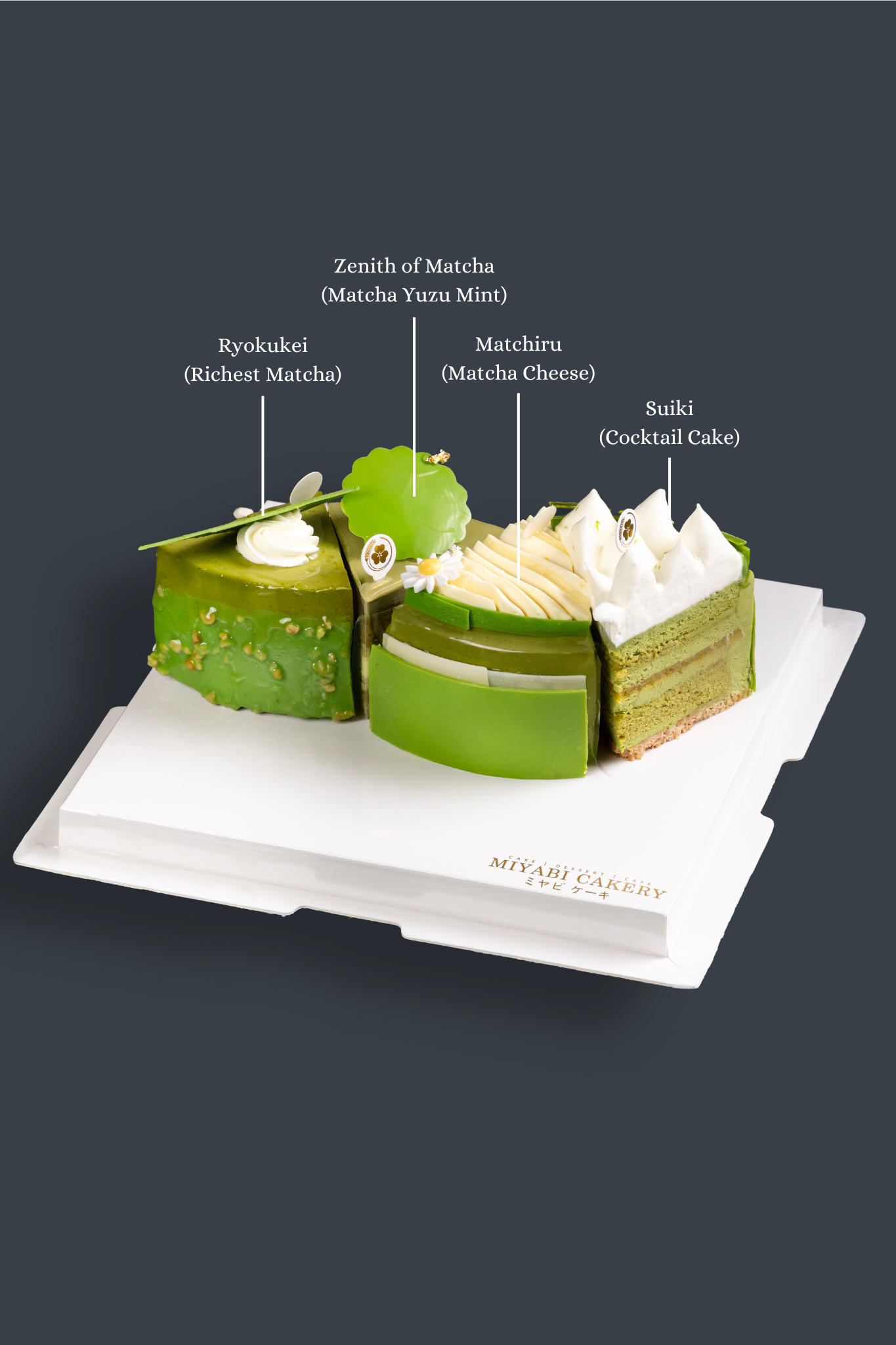 MATCHA 4 in 1