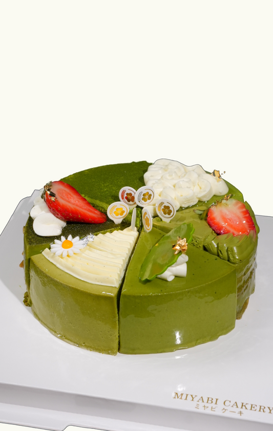 NEW MATCHA 6 IN 1