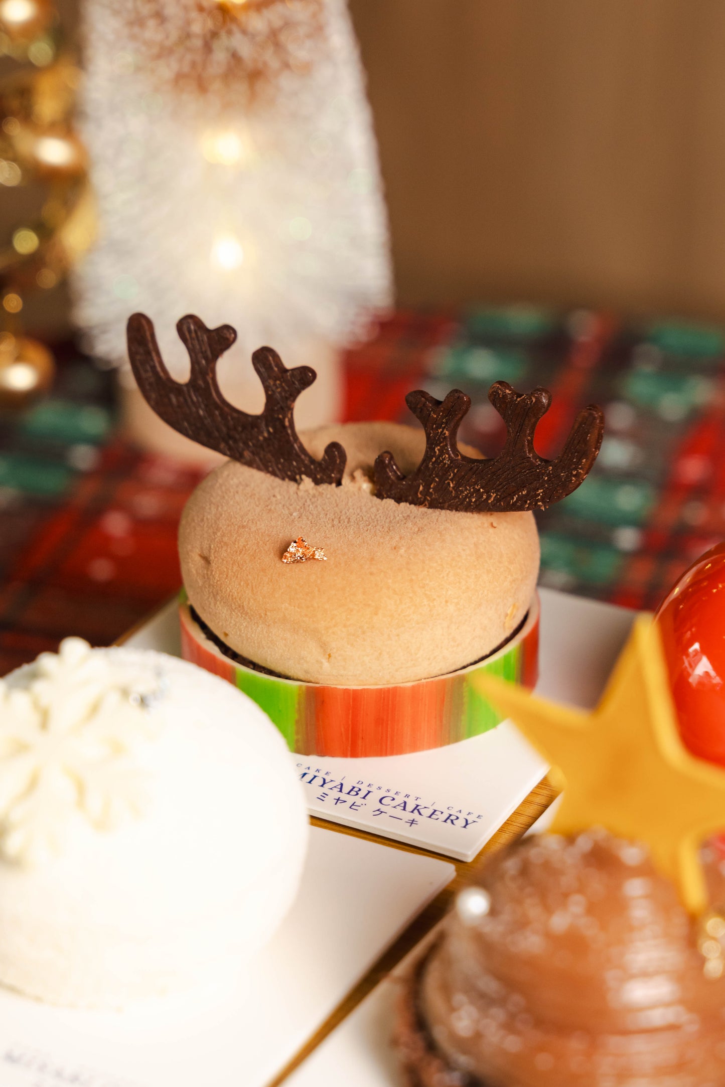 CHRISTMAS PETIT 4-IN-1