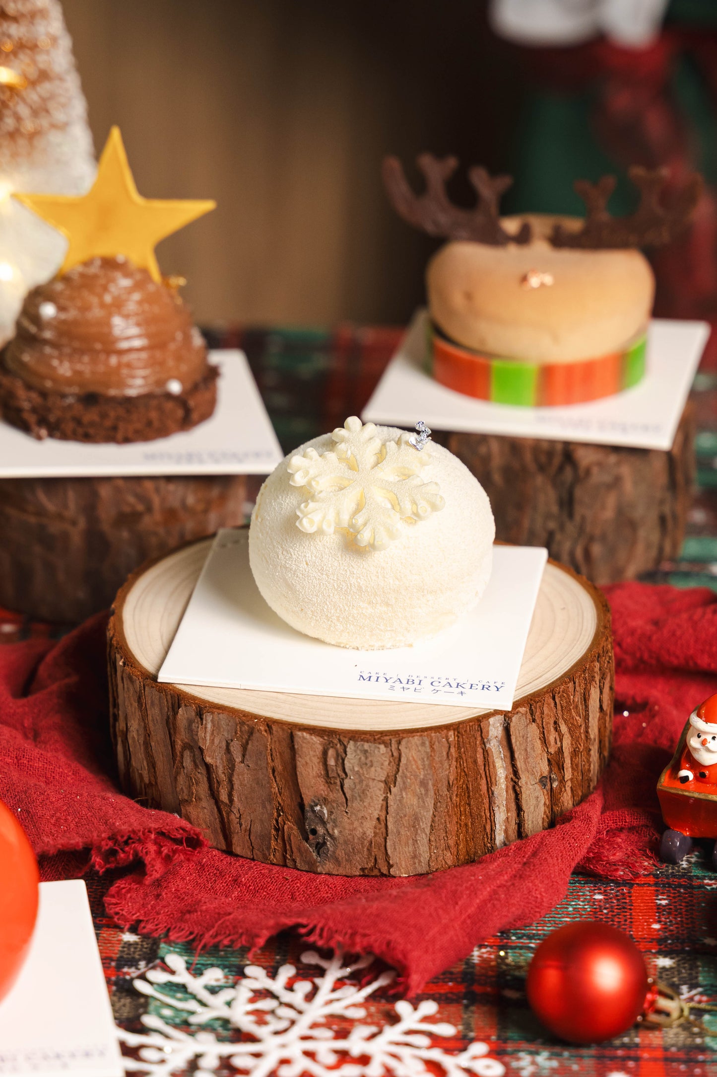 CHRISTMAS PETIT 4-IN-1