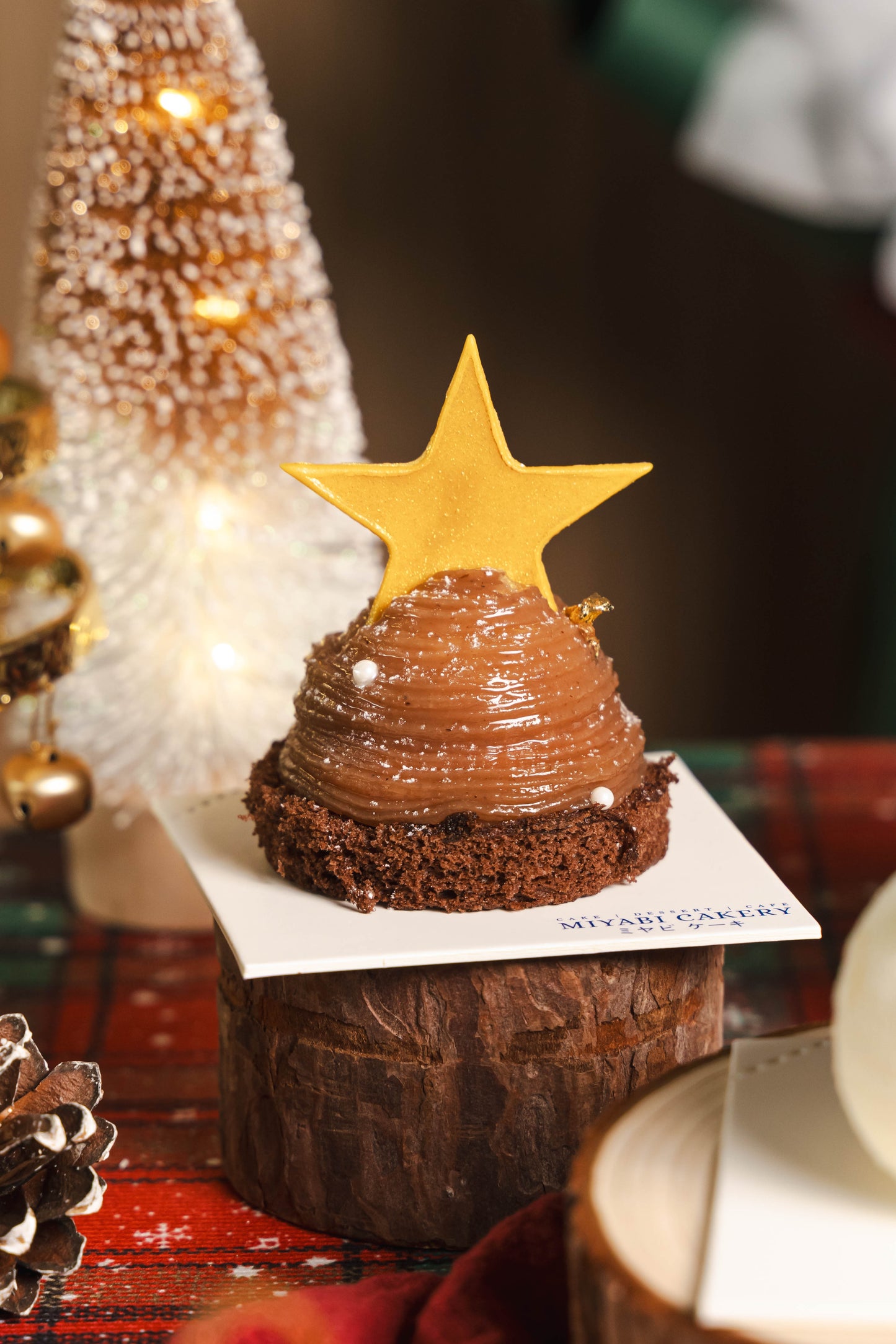 CHRISTMAS PETIT 4-IN-1