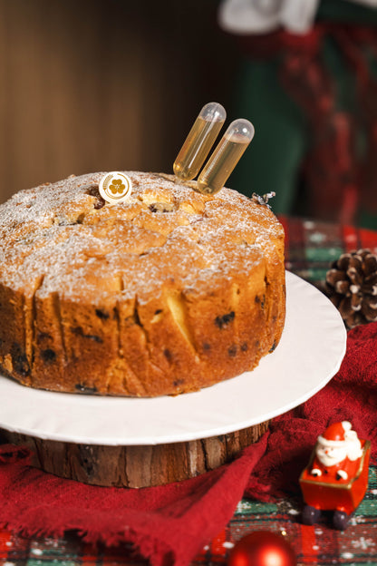 CHRISTMAS FRUIT CAKE - Orange close-up view | Miyabi Cakery