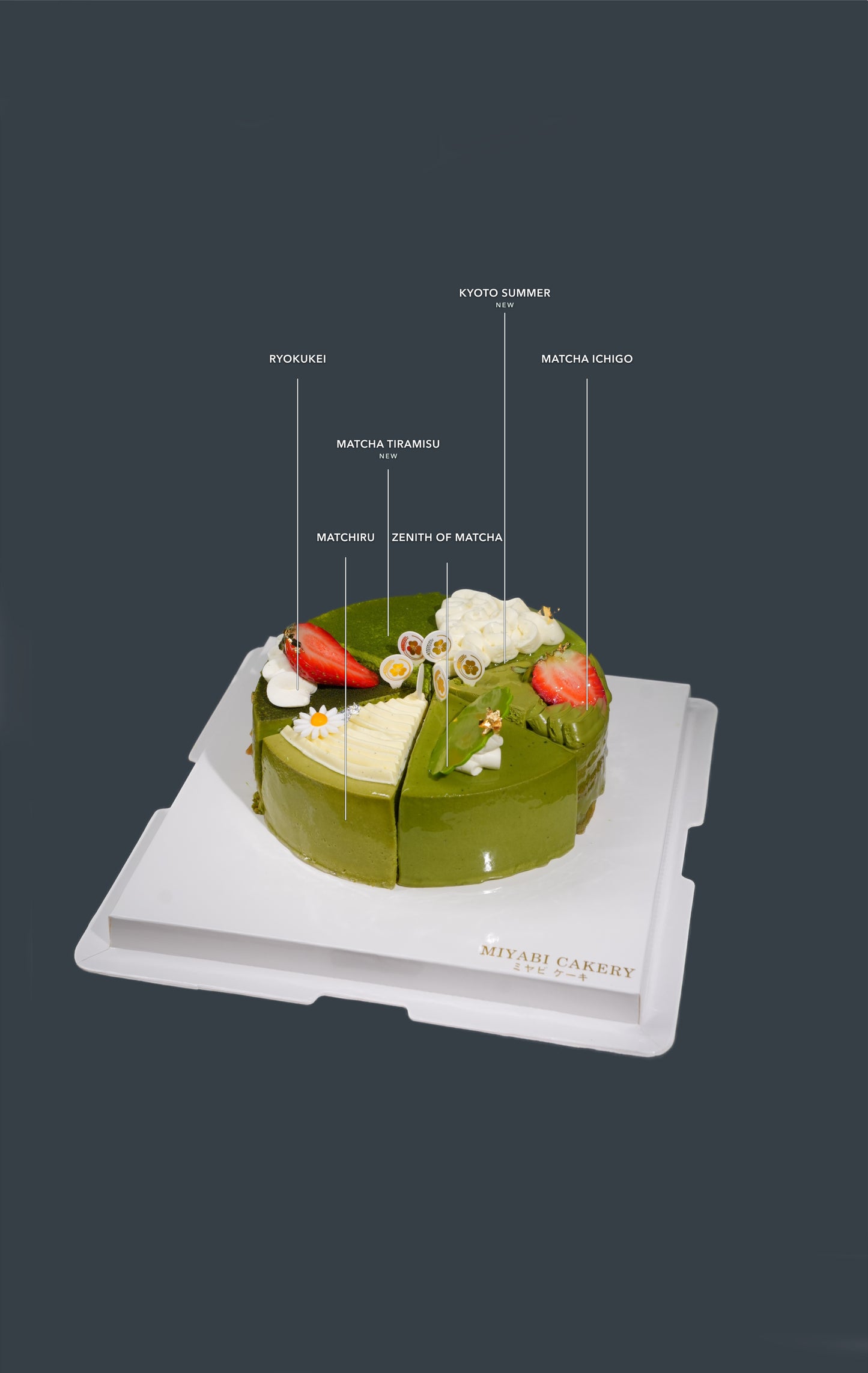 NEW MATCHA 6 IN 1